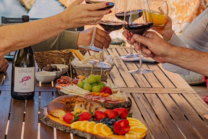 Porches Algarve Vineyard Tour and Wine Tasting Experience