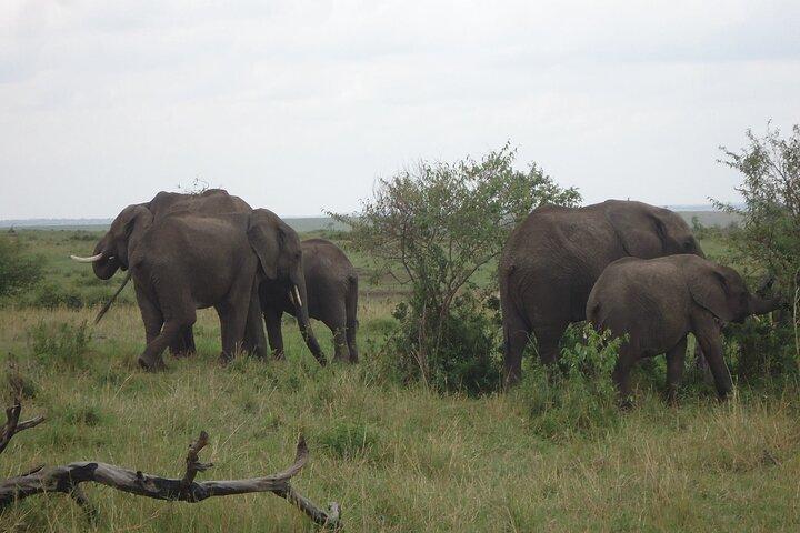 5 Days Tour at East Africa Safari Lake Nakuru and Lake Naivasha