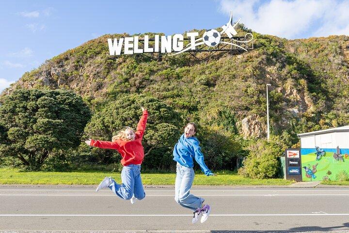 1/2 Day Guided Wellington Tour incl. Cable Car (Vans not buses)