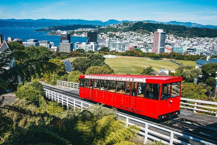 1/2 Day Guided Wellington Tour incl. Cable Car (Vans not buses)