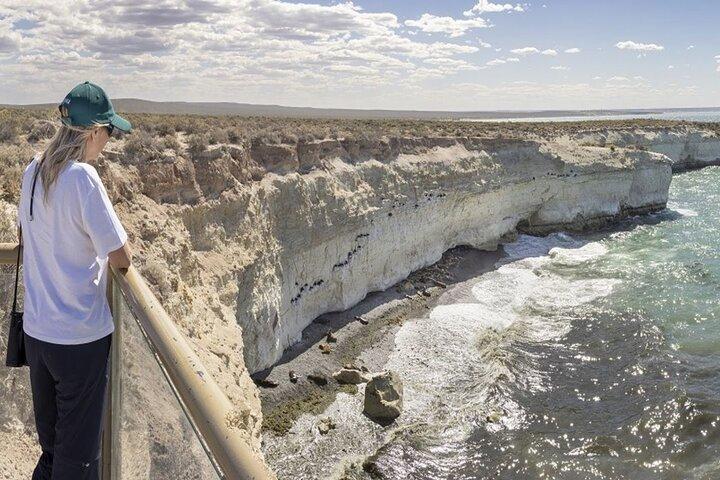 Sea Lions at Punta Loma and City Tour from Puerto Madryn
