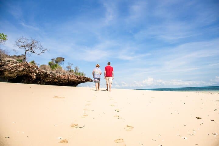 Explore Whole Zanzibar Island in One day