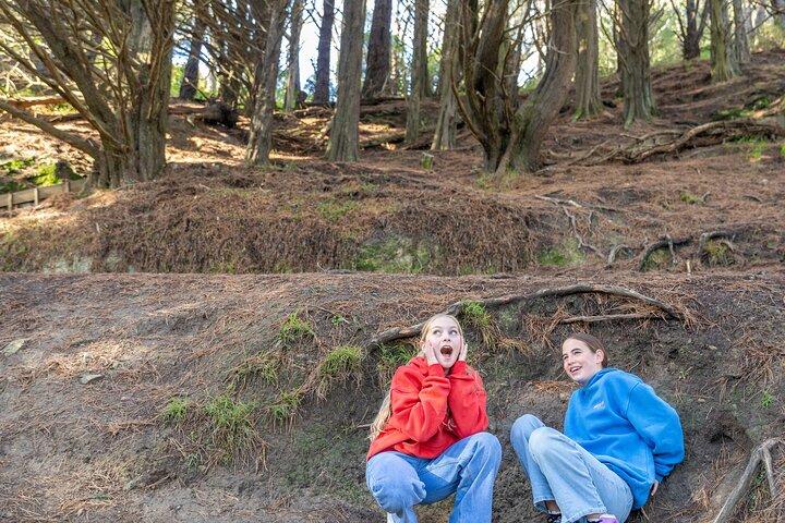 Lord of the Rings 1/2 day Tour to rule them all incl. Weta Tour