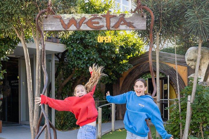 Lord of the Rings 1/2 day Tour to rule them all incl. Weta Tour