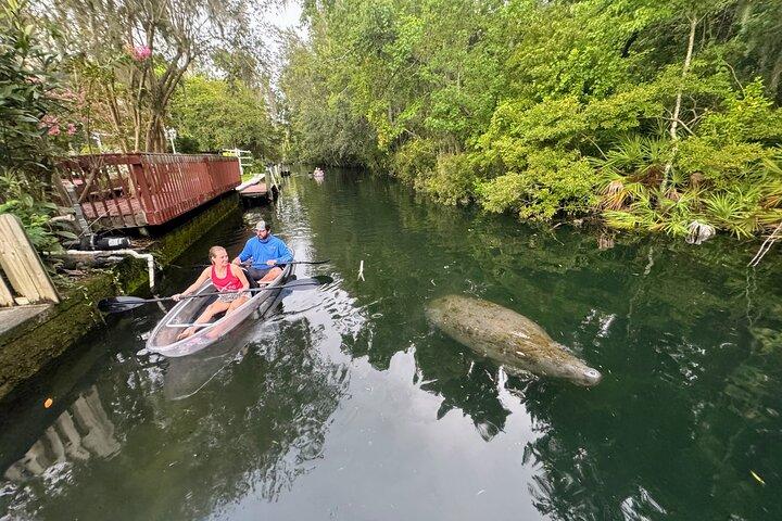 Clear Kayak Three Sisters Springs Sunset and Glow Tour