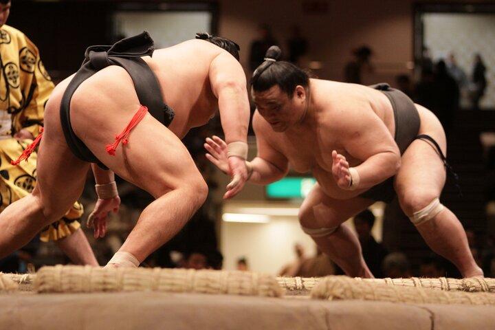 Sumo Wrestling Chair Seats & ExpertGuide | Tokyo Sep