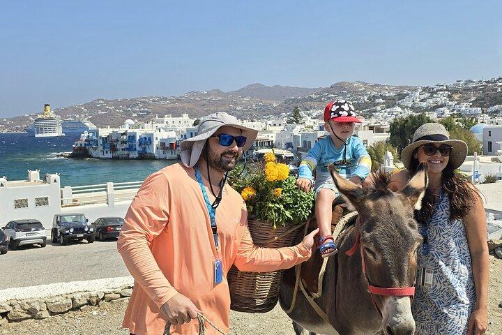 Private Mykonos Island tour by Luxury Minibus up to 11 passengers