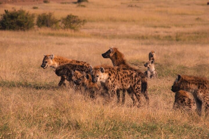 Nairobi City Excursion