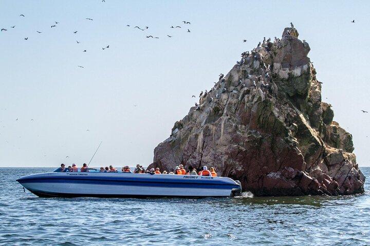 Ballestas Islands Boat Tour in Paracas