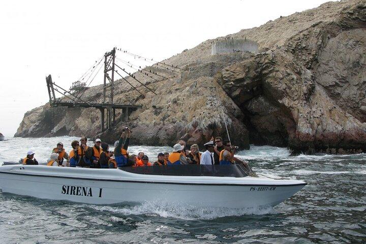 Ballestas Islands Boat Tour in Paracas