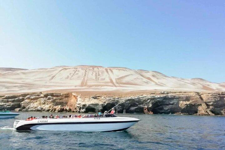 Ballestas Islands Boat Tour in Paracas