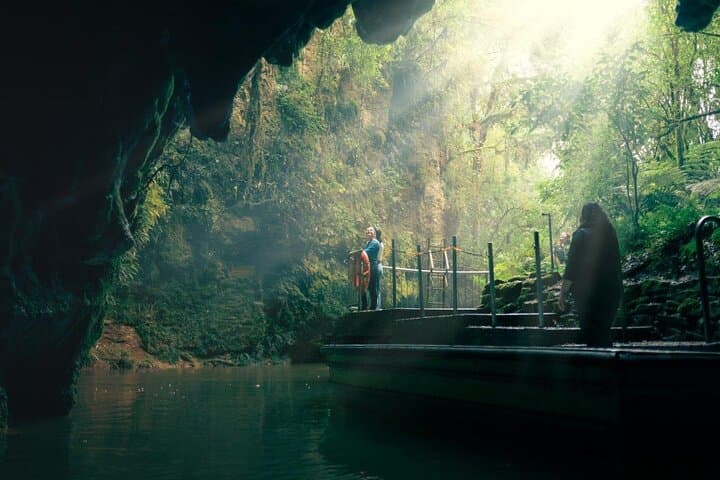 Auckland to Rotorua via Waitomo Caves Small Group Tour (One Way)