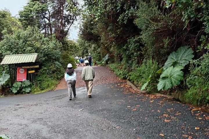 Hacienda Café Doka, Volcán Poas & Jardines de La Catarata La Paz