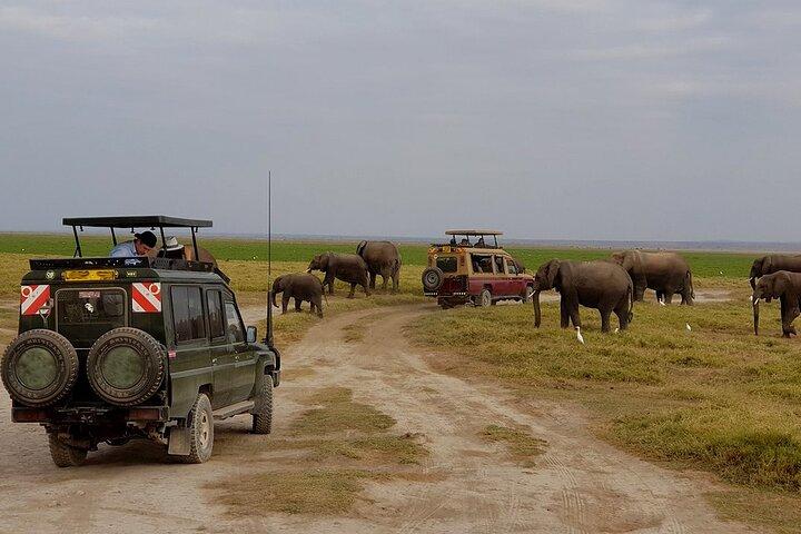 3 Days 2 Nights Amboseli National Park Tour
