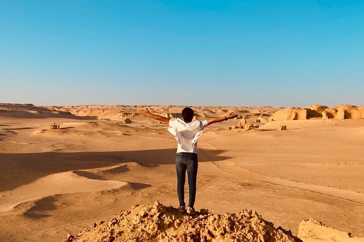 Private Safari Tour in Fayoum Oasis