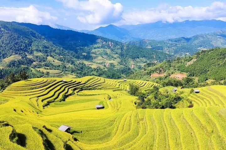 Private 6-Day Tour to Fansipan, Bac Ha Market and Terraced Fields