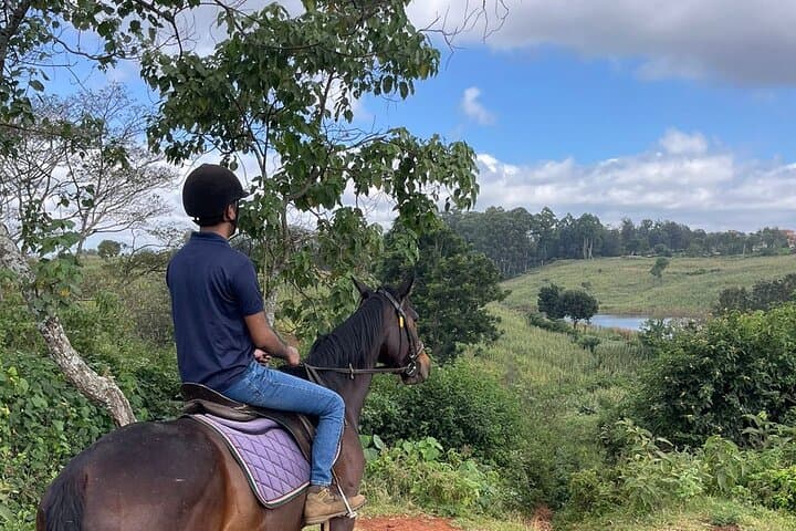 Nairobi Horseback Experience at Kitusuru Dam