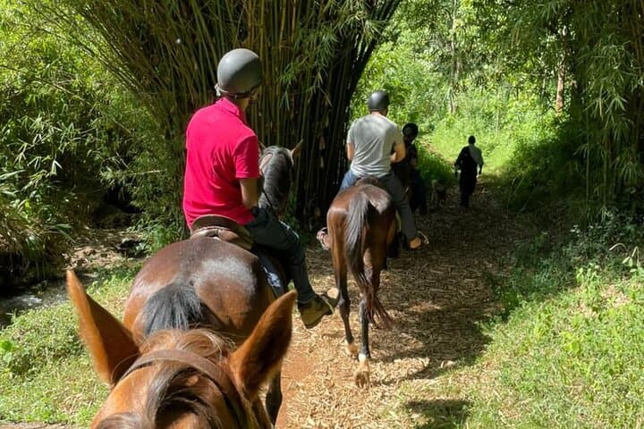 Nairobi Horseback Experience at Kitusuru Dam