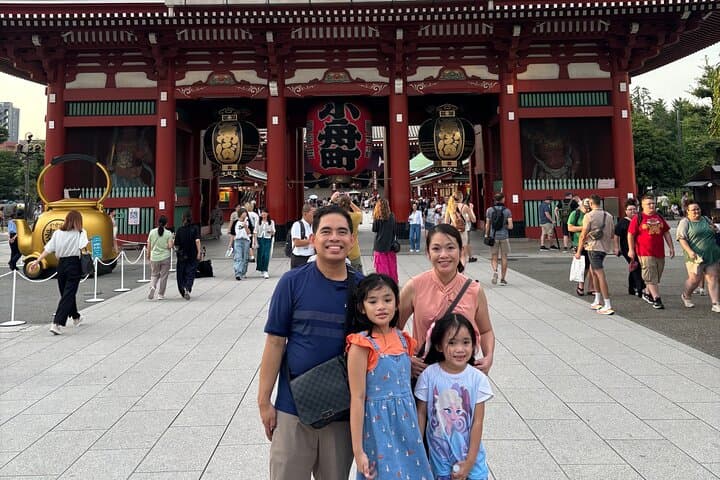Tokyo Private One-Day Tour — Local Driver