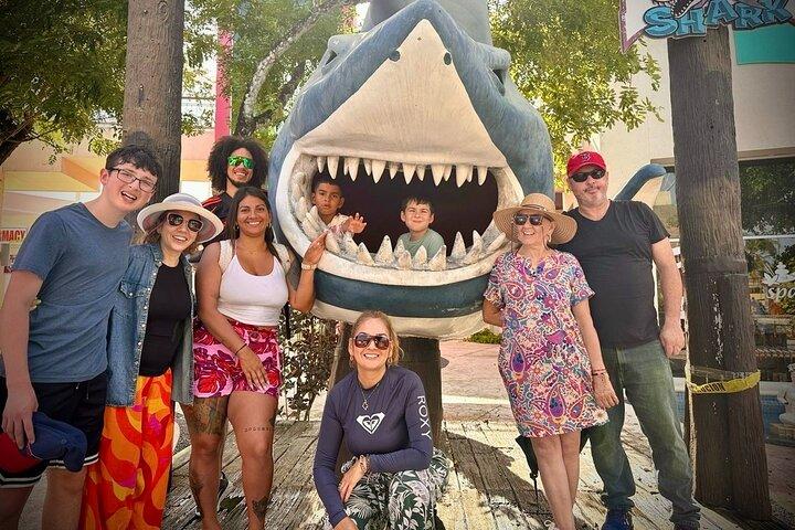 Cozumel: Private Excursion - MiniVan or Jeep (Your Day, Your Way)