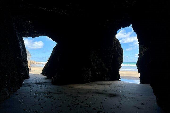 Auckland Natural Caves and Tunnels Private VIP Tour