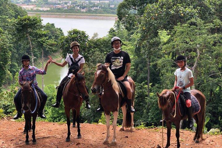 Phuket Scenic Horseback Riding Adventure