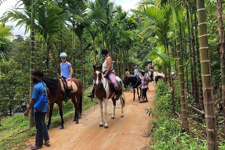 Phuket Scenic Horseback Riding Adventure