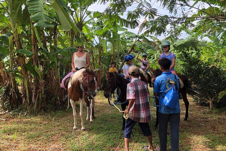 Phuket Scenic Horseback Riding Adventure