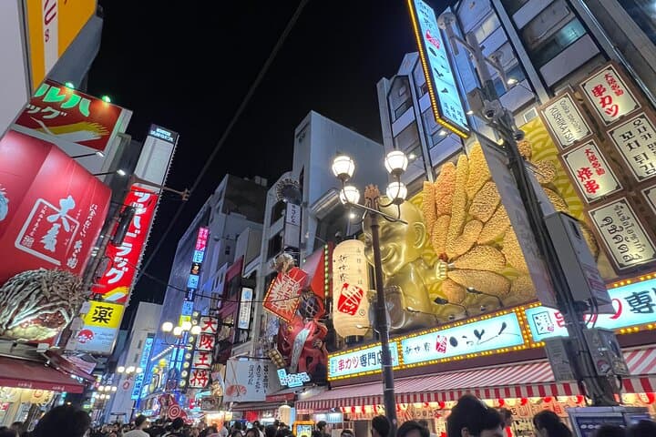 Walk Osaka in 4 Hours: Castle, Dotonbori and Insigths – Top Spots