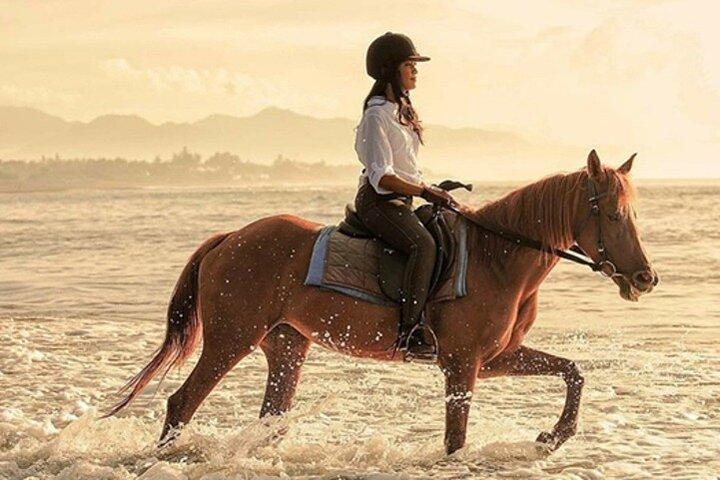 Bali Horse Riding, Waterfall, Rice Terrace, Lunch - All Inclusive