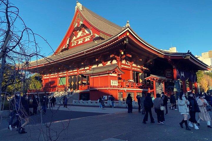 Tokyo Layover Private Tour from Haneda Airport & Cruise Ports