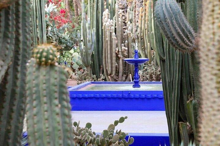 Majorelle Garden and Palmeraie Camel Ride in Marrakech