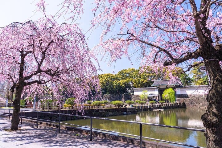 Tokyo Shogun's Castle Walk: Imperial East Gardens Shared Tour