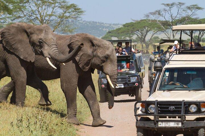 Full Day Private Ngorongoro Crater Safari starting in Arusha