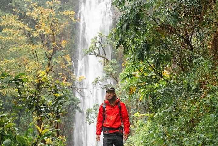 Private Materuni Waterfalls, Coffee Tour and Kikuletwa Hot Spring