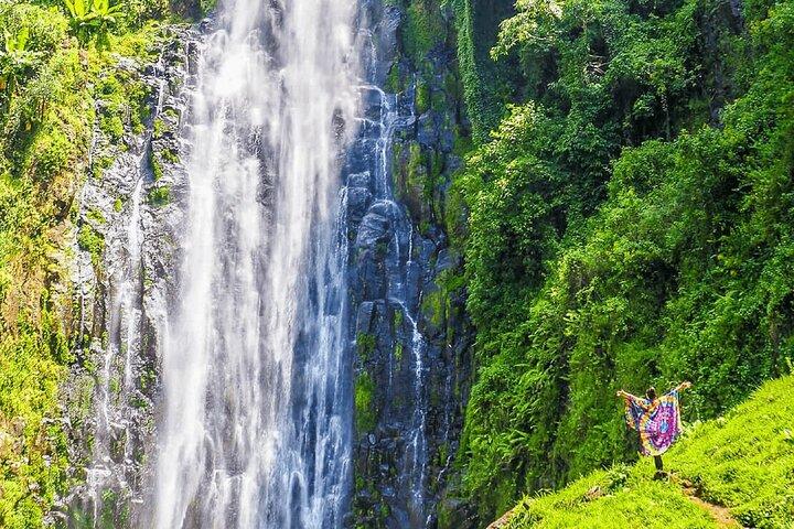Private Materuni Waterfalls, Coffee Tour and Kikuletwa Hot Spring