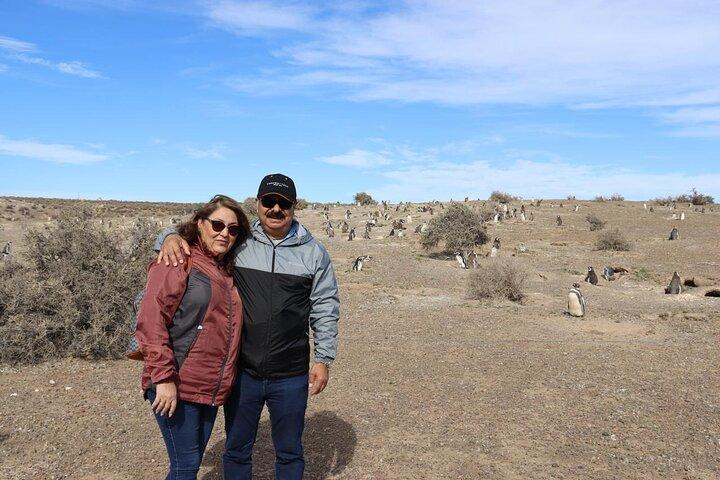 Walk with the Penguins- EARLY BOOKING -20% OFF Cruise Passengers