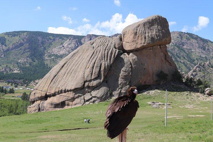 Full Day Chinggis Khaan Statue & Terelj NP Tour +Horseride, Eagle