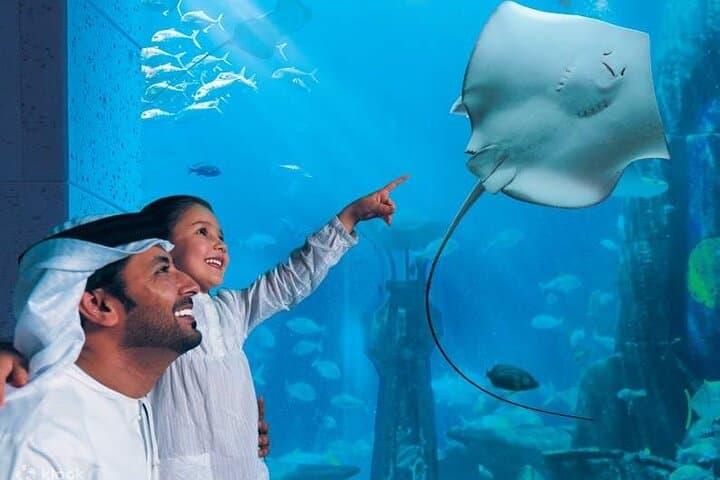 Dubai Aquarium and Underwater Zoo