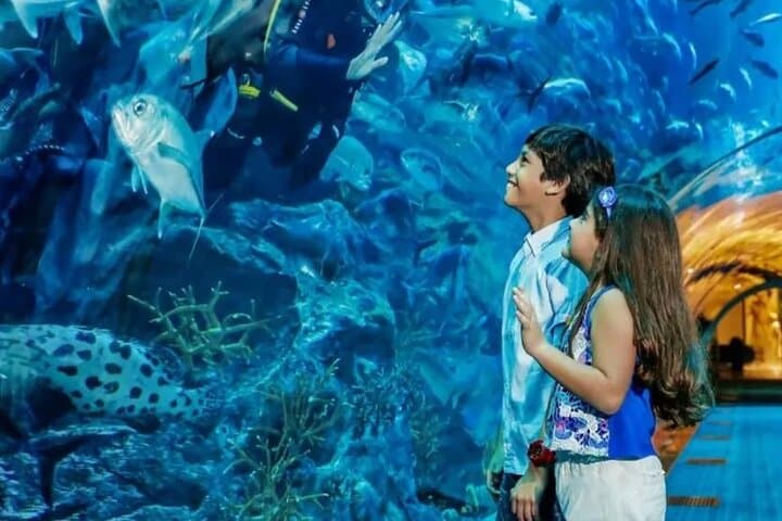 Dubai Aquarium and Underwater Zoo