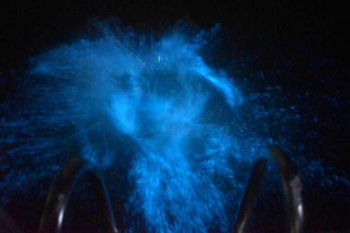 Private Transport to Luminous Lagoon in Falmouth
