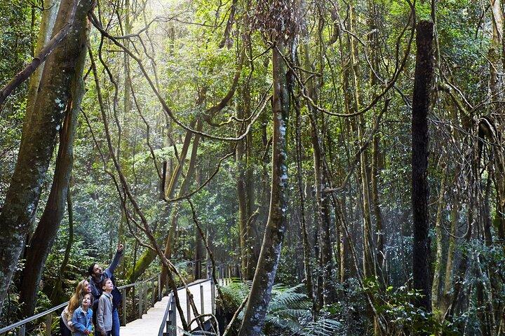 3 Day Private Tour in Blue Mountains and Kiama in Sydney City