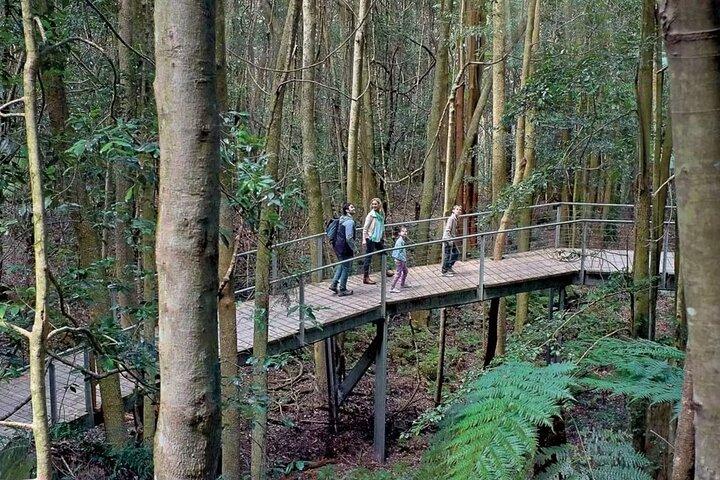 3 Day Private Tour in Blue Mountains and Kiama in Sydney City