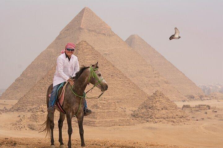 Cairo Photoshoot with Jumping Horse And Camel In Giza Pyramids