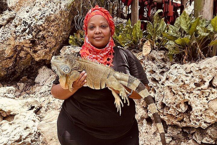 Road Off Buggy Adventure – Drive, Swim & Taste Dominican Culture