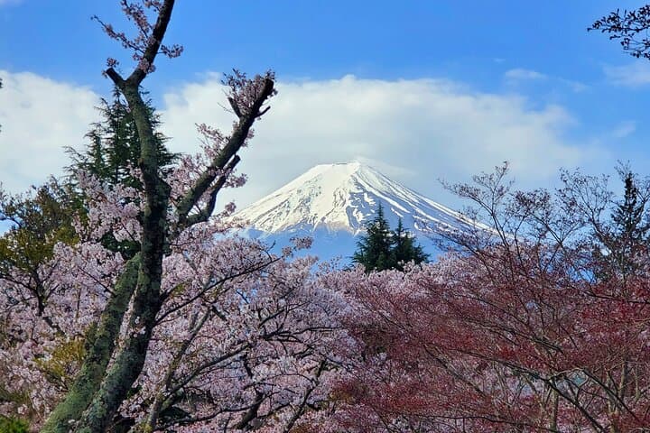 3 Days, 1. Tokyo, 2.Mt. Fuji & 3. Hakone Private Tour from Tokyo