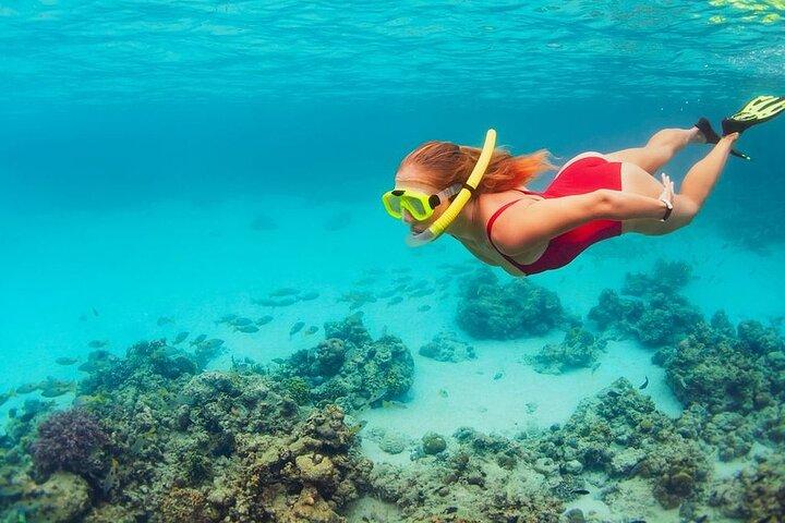 All Inclusive Day Trip to Nusa Penida West Coast in Bali