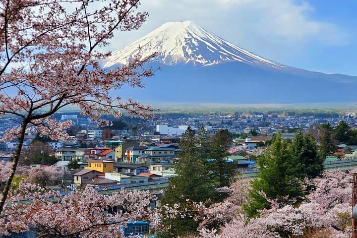 3 Days, 1. Tokyo, 2.Mt. Fuji & 3. Hakone Private Tour from Tokyo