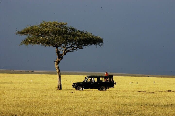 3 Days Masai Mara Gamedrive Camping Safari 4X4 Jeep