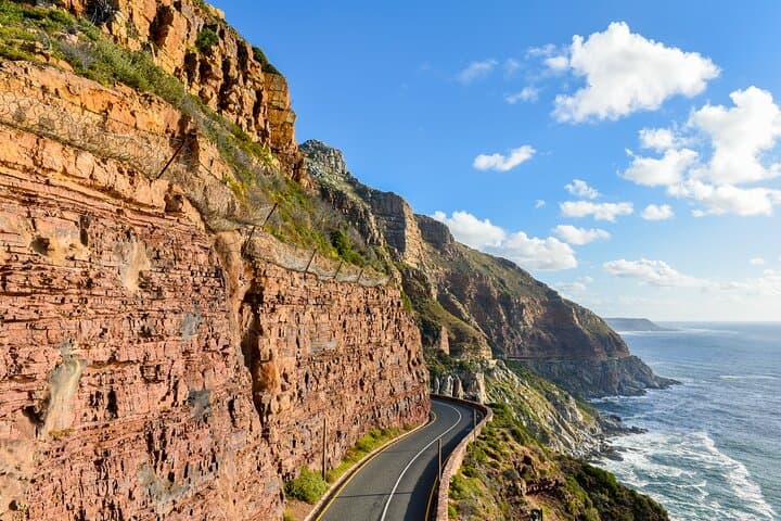Table Mountain National Park and Penguins Colony Half Day Tour
